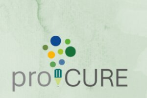 Skupno javno naročanje