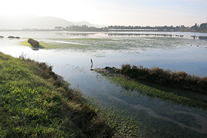 Slika: Projekt PlanToConnect – Ustanovitev sveta strokovnjakov in delavnica v Ljubljani