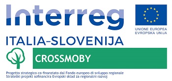 Čezmejna mobilnost